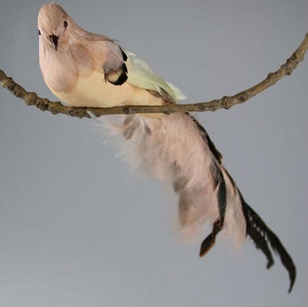 Κρεμαστά Ζώα